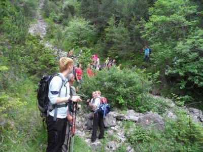 Kliknite za ogled večje slike