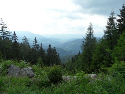 Kliknite za ogled večje slike