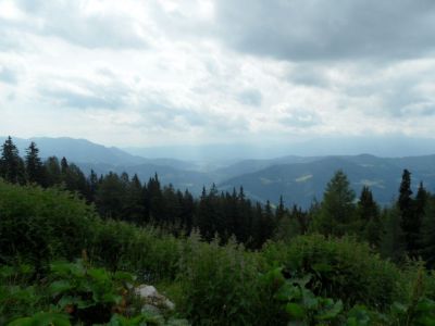 Kliknite za ogled večje slike