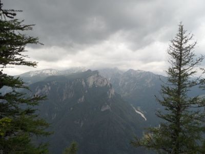 Kliknite za ogled večje slike