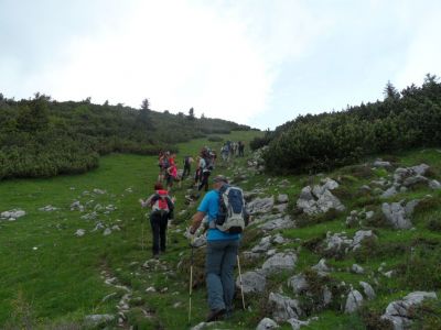 Kliknite za ogled večje slike