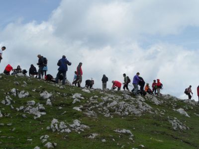 Kliknite za ogled večje slike