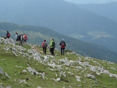 Kliknite za ogled večje slike