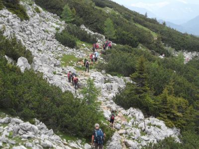 Kliknite za ogled večje slike