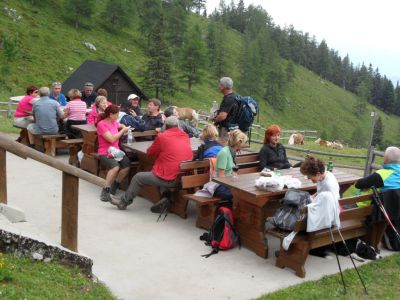 Kliknite za ogled večje slike