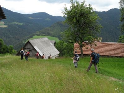 Kliknite za ogled večje slike
