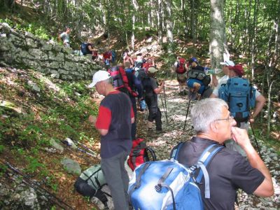Kliknite za ogled večje slike