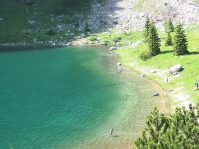 Kliknite za ogled večje slike