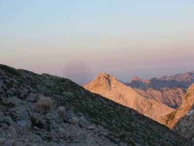 Kliknite za ogled večje slike
