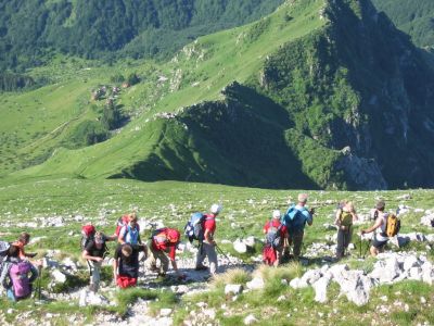 Kliknite za ogled večje slike