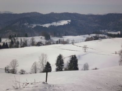 Kliknite za ogled večje slike