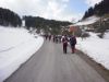 20100306_55.JPG
