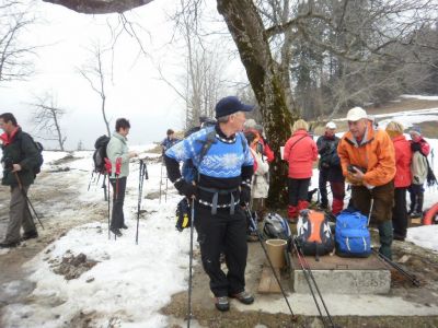 Kliknite za ogled večje slike