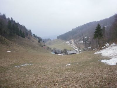 Kliknite za ogled večje slike