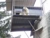 20100320_17.JPG
