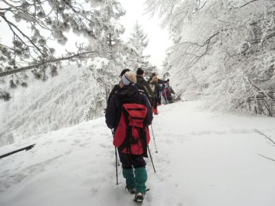 Kliknite za ogled večje slike