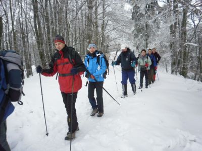 Kliknite za ogled večje slike