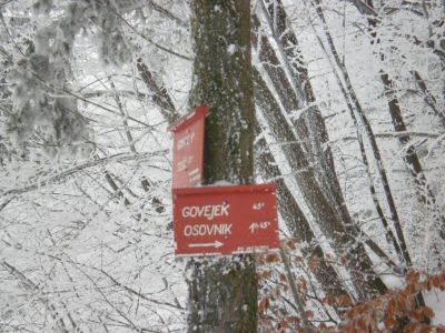 Kliknite za ogled večje slike