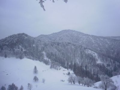 Kliknite za ogled večje slike