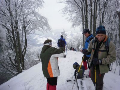 Kliknite za ogled večje slike