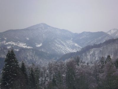 Kliknite za ogled večje slike