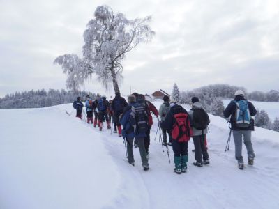 Kliknite za ogled večje slike