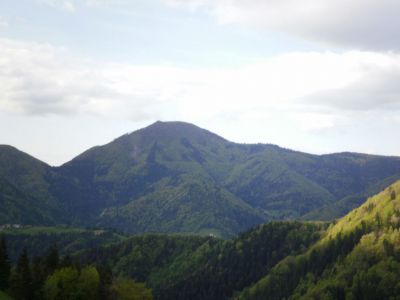 Kliknite za ogled večje slike