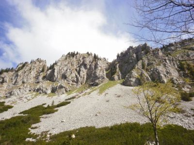 Kliknite za ogled večje slike