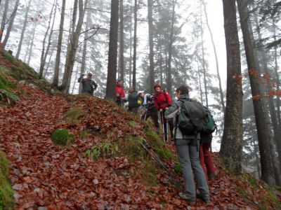 Kliknite za ogled večje slike