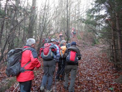 Kliknite za ogled večje slike