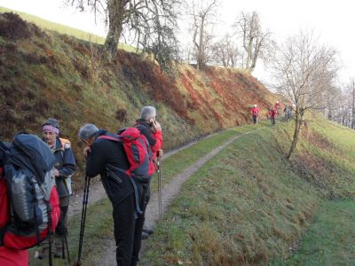Kliknite za ogled večje slike