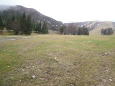 Kliknite za ogled večje slike