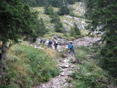 Kliknite za ogled večje slike