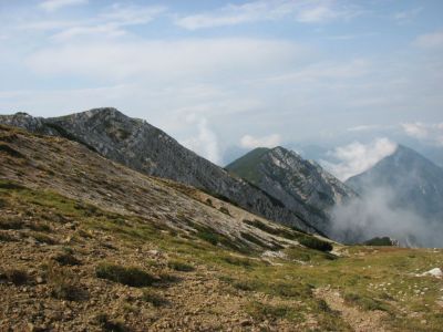 Kliknite za ogled večje slike