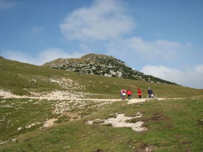 Kliknite za ogled večje slike