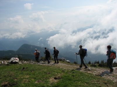 Kliknite za ogled večje slike