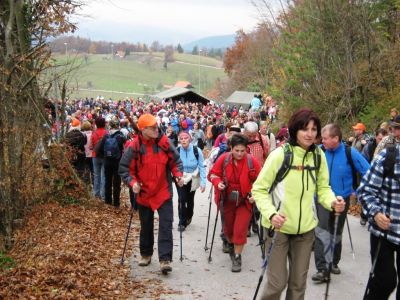 Kliknite za ogled večje slike