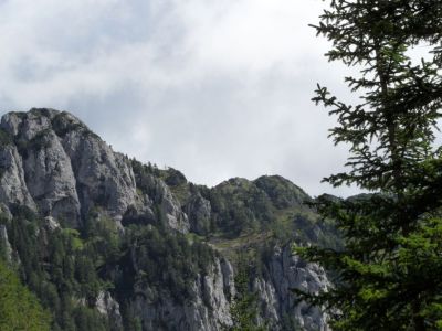 Kliknite za ogled večje slike