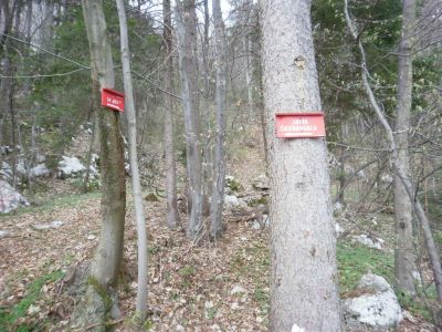 Kliknite za ogled večje slike