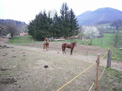 Kliknite za ogled večje slike