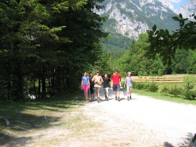 Kliknite za ogled večje slike