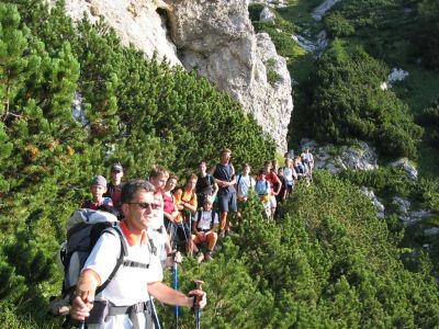 Kliknite za ogled večje slike