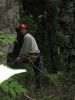 100_0043.JPG
