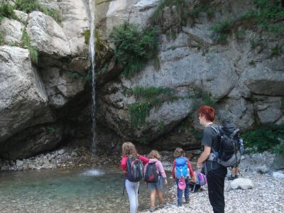 Kliknite za ogled večje slike