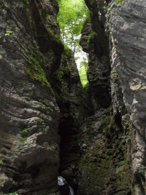 Kliknite za ogled večje slike