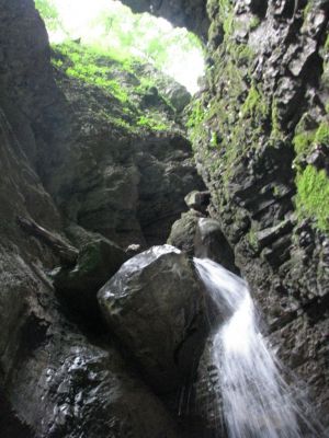 Kliknite za ogled večje slike