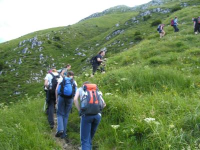 Kliknite za ogled večje slike