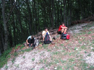 Kliknite za ogled večje slike