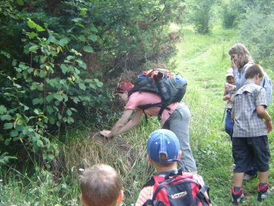 Kliknite za ogled večje slike