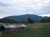 IMG_2631.JPG